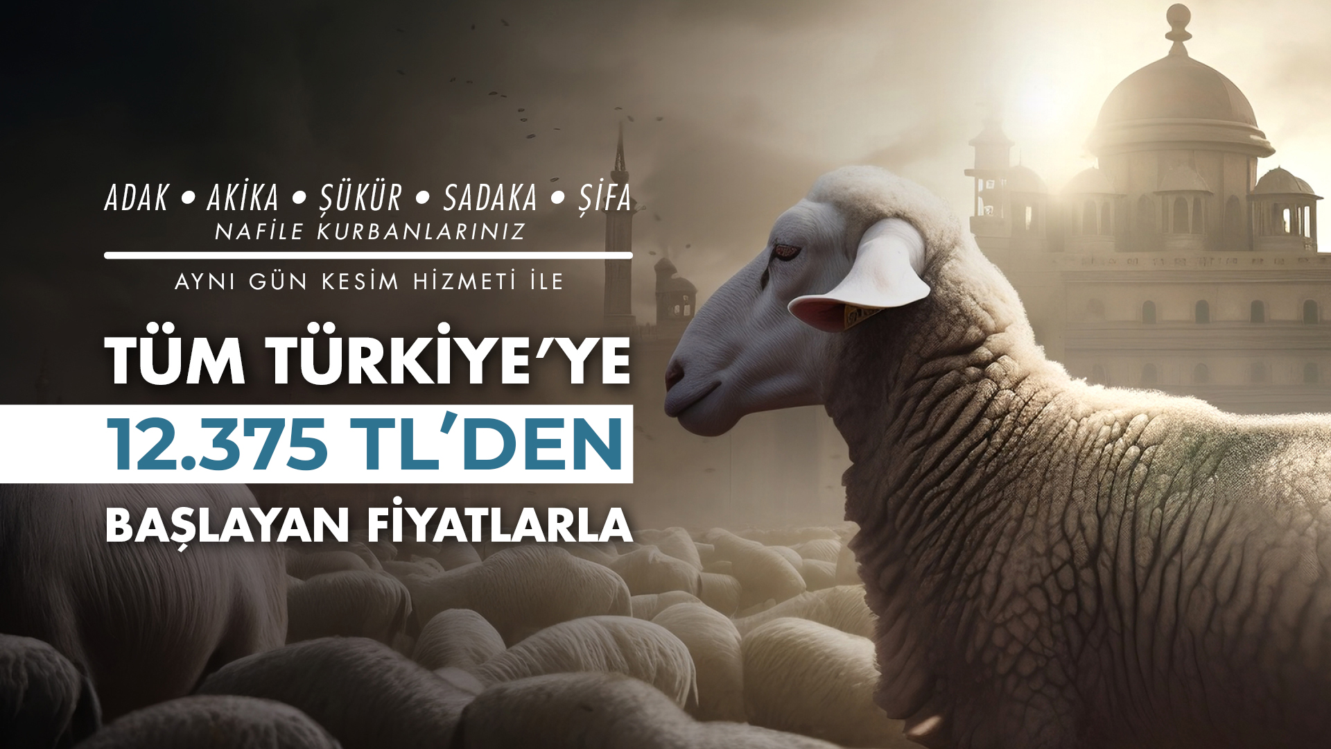 Kasva Hayvancılık Banner 1