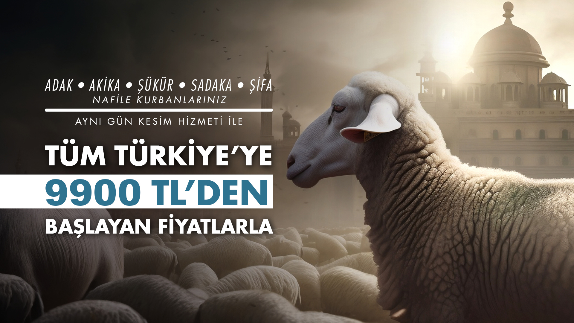 Kasva Hayvancılık Banner 1